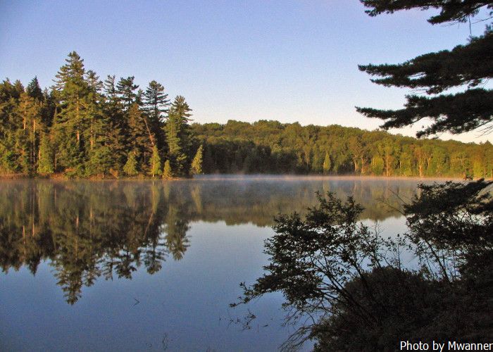 Did you know: US largest wild park is in New York